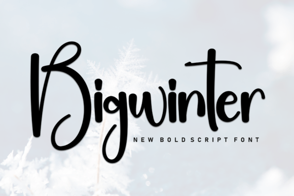 Bigwinter: The Bold Script That Brings Energy to Your Designs