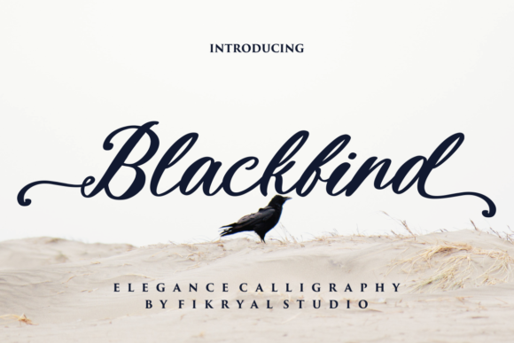 Blackbird: The Strategic Asset for Handwritten Aesthetics in Professional Design