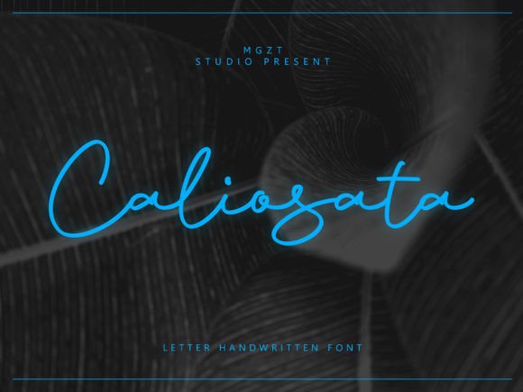 Caliosata: Where Whimsical Charm Meets Refined Elegance