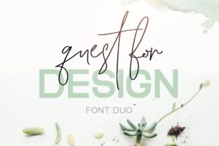 Quest for Design Family: Elevating Brand Identity with Typography
